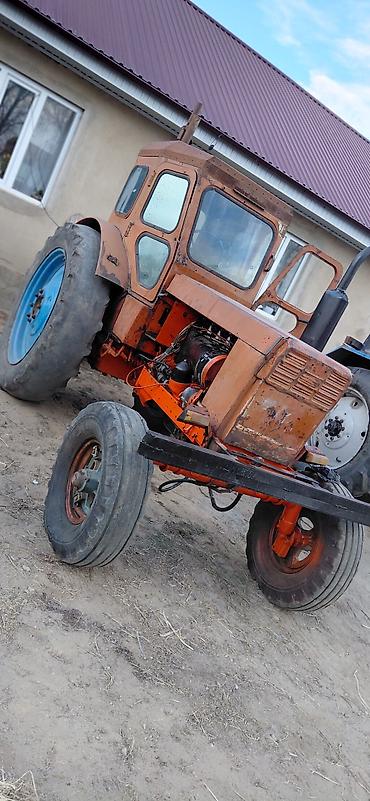 Тракторы ЛТЗ: Модель: Т-40, Б/у, 1990 г — 6