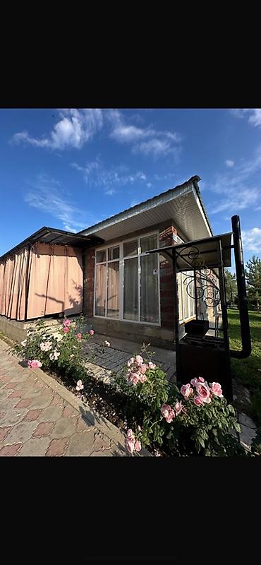 бууда: Гостевой домик с террасой и садом роз. Планировка и интерьер: - — 1