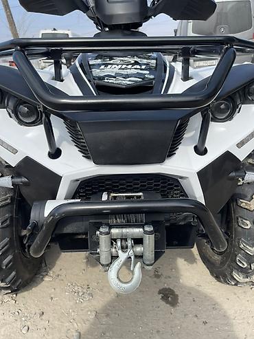 Квадроциклы: Квадроцикл Linhai 300 (4x4) - Мощный утилитарный ATV с полным — 2