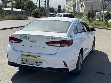 аварийный соната: Hyundai Sonata: 2019 г., 2 л, Автомат, Газ, Седан — 4