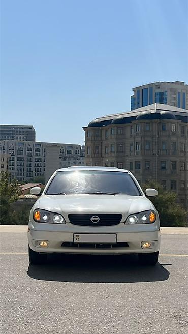 Nissan: Nissan Maxima QX sedan – ağ rəng, 4 qapı, qabaqdan ötürücülü. Əsas — 2