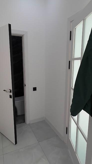 леостан: 1 комната, 48 м², Пишпек Элитка, 5 этаж, Евроремонт — 8