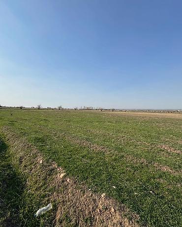 Продажа участков: 125 соток — 9