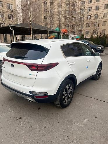 Kia: Kia Sportage: 2019 г., 2 л, Автомат, Дизель, Кроссовер — 4