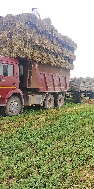Транспорт: КАМАЗ самосвал с прицепом - Марка/модель: КАМАЗ, кабина с индексом — 9