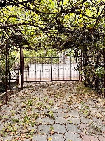 Продажа дач: Продается Дача Село Чон Далы выше Новопокровки Ысык Атинский Район 5 — 8