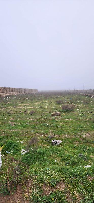 3000: 25 sot, Kənd təsərrüfatı, Mülkiyyətçi, Kupça (Çıxarış) — 2