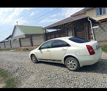 e klass: Nissan Primera: 2001 г., 2 л, Бензин — 3