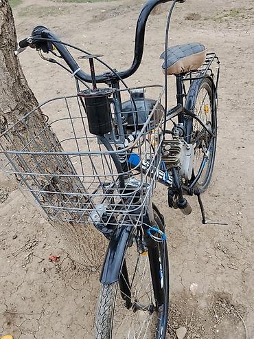 купить мопед в баку: Moped mühərrikli velosiped - Şassi: şəhər tipli, yüksək sükanlı — 1