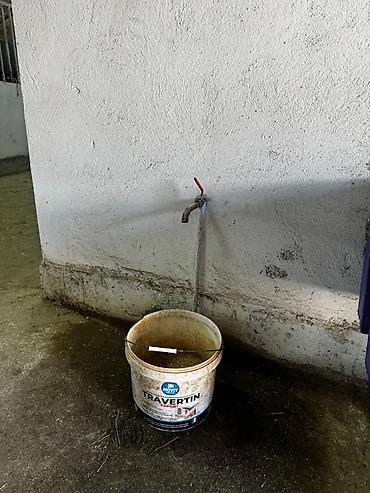 Продажа дач: 🔥 Срочно продаётся конюшня в Тош-Булаке! Отличный вариант для — 3