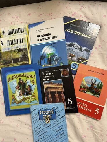 с.к.кыдыралиев а.б.урдалетова г.м.дайырбекова математика 5 класс: Русская литература, 5 класс, Б/у