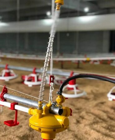 Qidalandırıcılar: Yem qabı, Yem üçün, Quşlar üçün, Rayonlara çatdırılma, Ünvandan götürmə, Pulsuz çatdırılma — 6