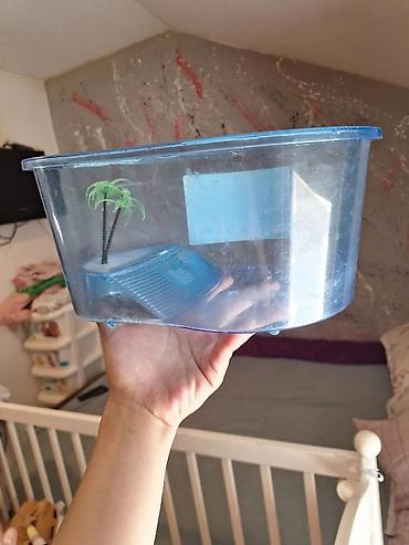 obuca ps: Plastična posuda za kornjače – Nobleza “Turtle Case” malo korisceno - — 2
