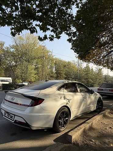 капот карнивал: Hyundai Sonata: 2022 г., 2 л, Автомат, Газ, Лифтбек — 3
