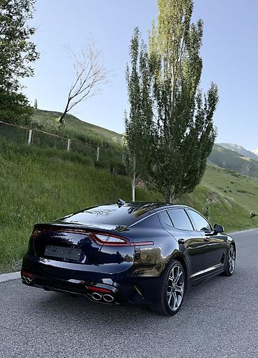 Kia: Kia Stinger: 2019 г., 2 л, Автомат, Бензин, Седан — 4