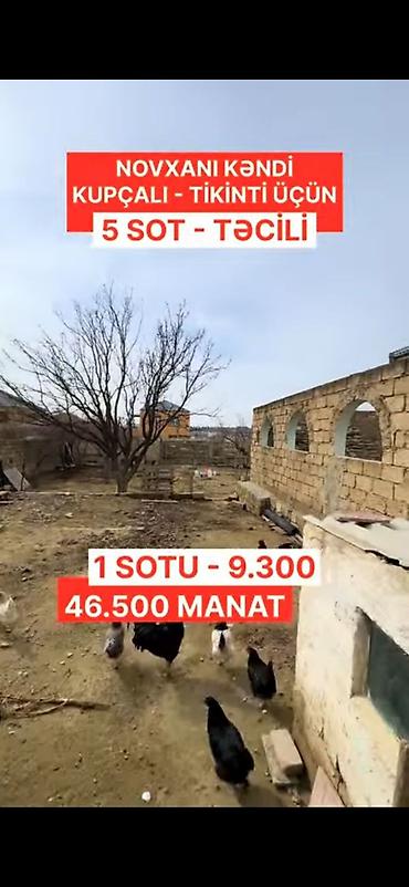 500: 5 sot, Tikinti, Mülkiyyətçi, Kupça (Çıxarış) — 1