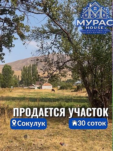 сокулук арал: 30 соток, Курулуш — 1