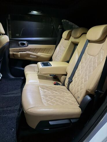 Kia: Kia Sorento: 2020 г., 1.6 л, Гибрид — 10