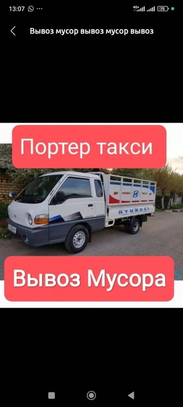 Другие животные: Портер такси портер такси портер такси Портер такси портер такси