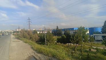 sultepe: Sulutəpədə kirayə obyekt verilir. Yolun kənarında, Pepsi zavodunun — 5