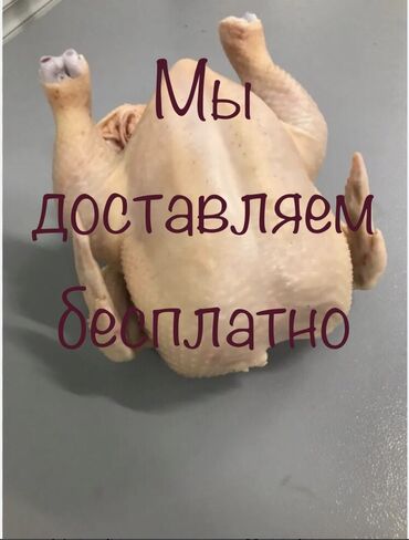 Птицы: Продаются бройлеры! Чистые, подготовленные тушки — готовы к