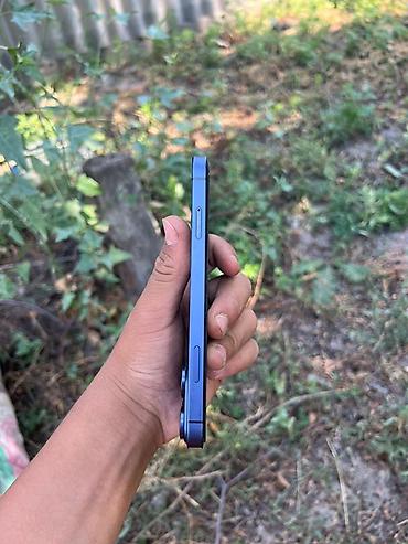 iphone cs max: IPhone 17 Pro, Б/у, 64 ГБ, Синий, 100 % — 4