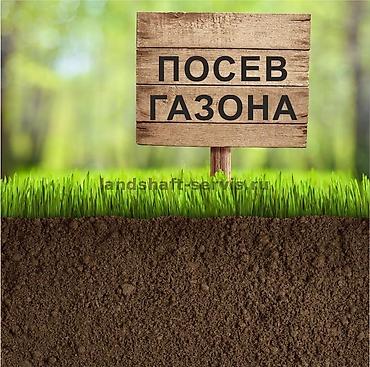 осы: Все услуги садовника! Стрижка любой сложности, Оформления участка — 8