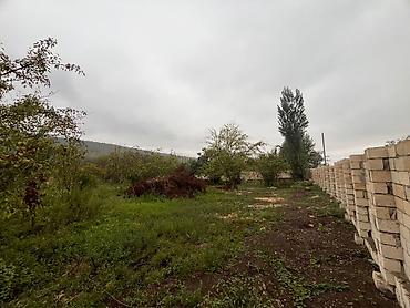 çuxuryurd ev satılır: 16 sot, Tikinti, Mülkiyyətçi, Kupça (Çıxarış) — 1