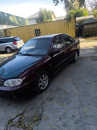 bmw 2: Kia Spectra: 2008 г., 1.6 л, Автомат, Бензин, Седан — 1