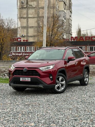 toyota rav4 hybrid: Toyota RAV4: 2019 г., 2.5 л, Вариатор, Гибрид, Кроссовер