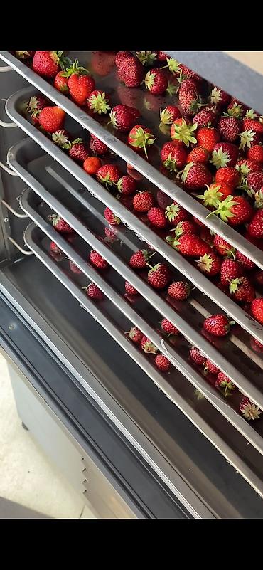 Другое холодильное оборудование: Камера шоковой заморозки Камера шоковой заморозки на 6 уровней — 4