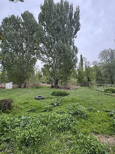 земля в токмоке: 11 соток, Для строительства, Договор купли-продажи, Красная книга, Тех паспорт — 4