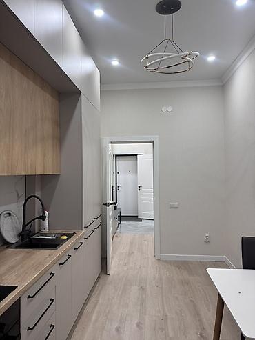 Долгосрочная аренда квартир: Студия, С мебелью полностью — 13