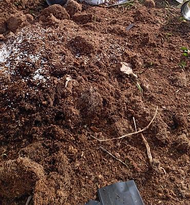 dipcek gullerin satisi: Bağ torpaq qarışığı – üzvi əsaslı Məhsul təsviri: - Bağ və çiçək — 1