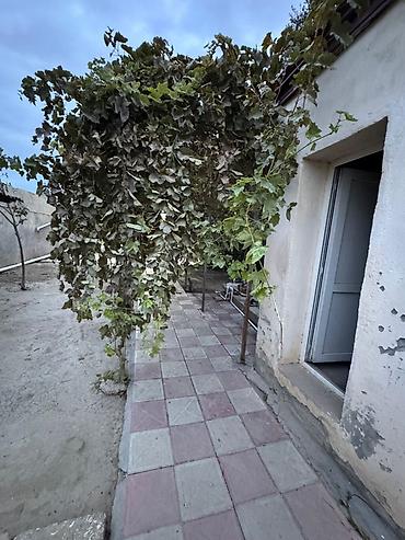 savalanda evler: Satılır: həyət evi /içinde ayrı abyekte geden hazır yer Sabuncu — 3