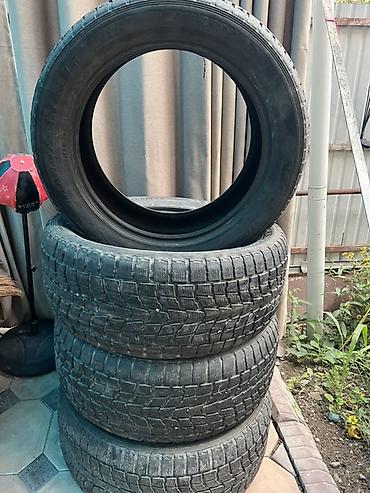 балон зимние: Комплект зимних шин Dunlop Grandtrek SJ6 - Модель: Dunlop Grandtrek — 1
