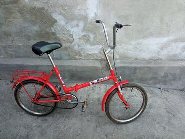 красный женьшень: Велосипеды