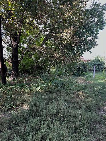 участок кирком: 12 соток, Для строительства, Красная книга — 4