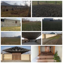 гармошка для унитаза: 160mine Agdasda bu satisa cixarilib Evin hərşeyi var 30mete navesi