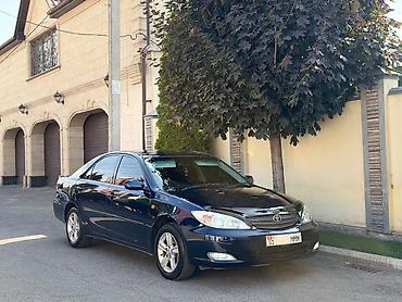 пружины камри: Toyota Camry: 2004 г., 2.4 л, Автомат, Бензин, Седан — 4