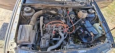 гольф автомобиль: Volkswagen Golf: 1992 г., 1.8 л, Седан — 7