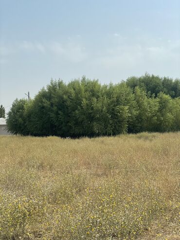 ак туз: 4 соток, Для строительства, Красная книга, Тех паспорт, Договор купли-продажи