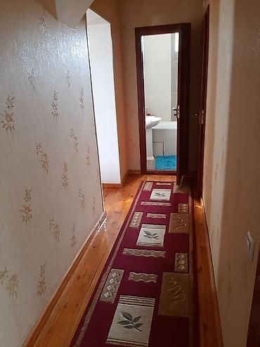 Долгосрочная аренда домов: 360 м², 9 комнат — 11