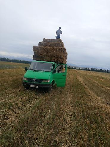 е 303 302: Грузовик, Mercedes-Benz, Дубль, 3 т, Б/у — 1