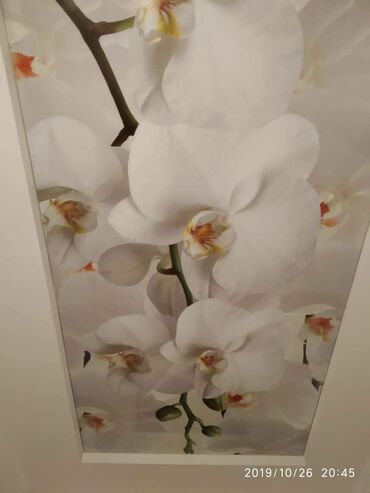 Натяжной потолок: Натяжной потолок Глянцевое, Матовое Гарантия — 10