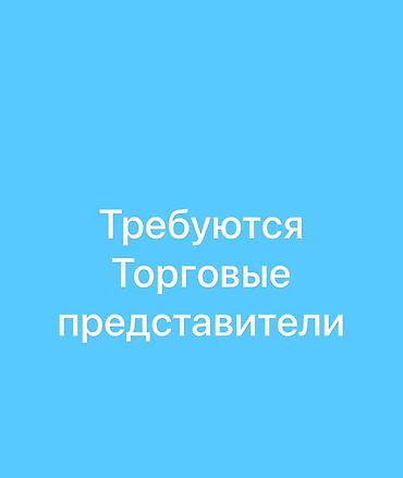 Вакансия: Торговые представители Описание задач: - Активный поиск и