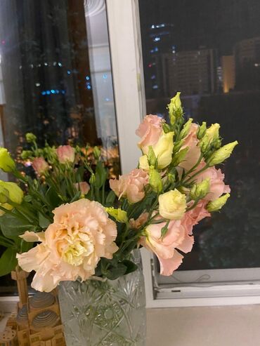 снять дом на длительный срок: İcarəyə verilir 2 otaqlı mənzilin 1 otağı. köhnə tikili 70 m², 28 May