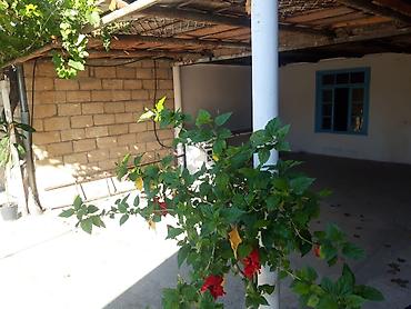 Həyət evləri və villaların satışı: Tecili satilir. Heyetde. 2 ev var — 16