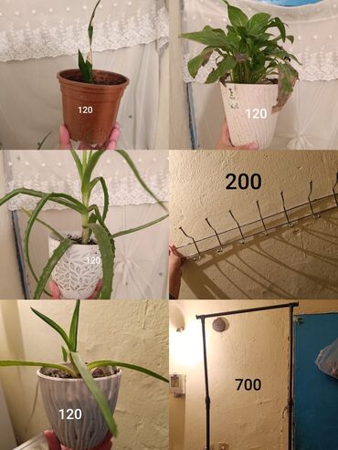 сколько стоит вешалка для одежды: Вешалка lalafo.kg да сколько стоит вешалка для одежды: Вешалка