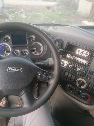 Тягачи: Тягач, DAF, 2008 г., Без прицепа — 14